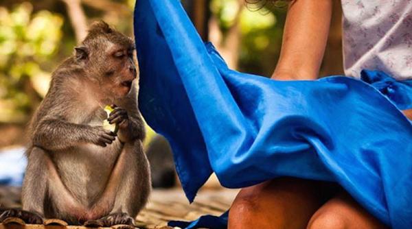 fotografii inedite surprinse la momentul potrivit foto