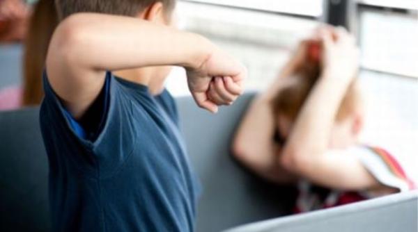 parin i de succes fenomenul bullying