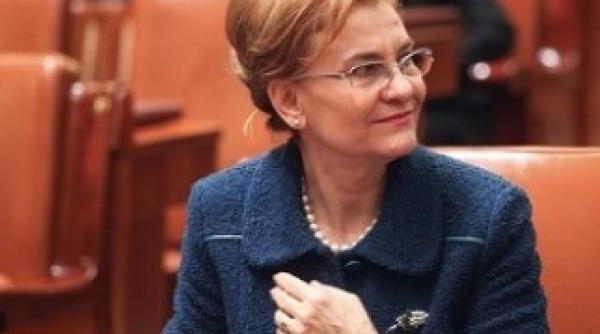 maria grapini prima reac ie dupa condamnarea lui dan voiculescu