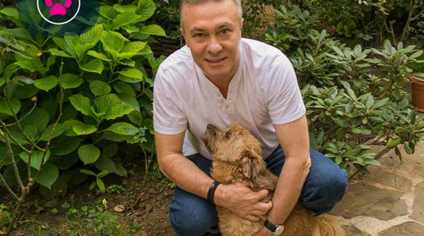 ce ii leaga pe monica macovei i cristian diaconescu