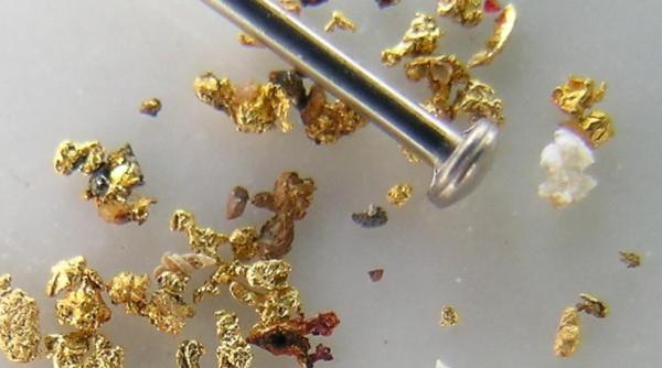 cancer cerebral particule de aur utilizate in terapia impotriva bolii