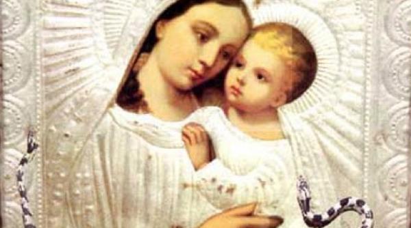 minune inexplicabila cu erpi in fiecare an de sfanta maria