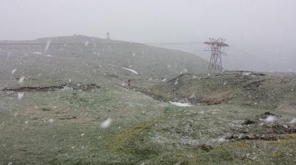 fenomen extrem in plina vara popula ia ingrijorata