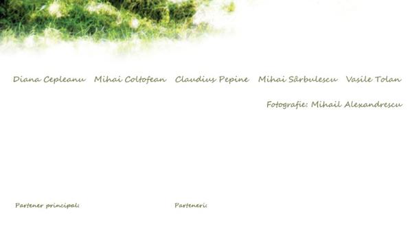 tabara de pictura popas la conacul arefu la poalele mun ilor fagara