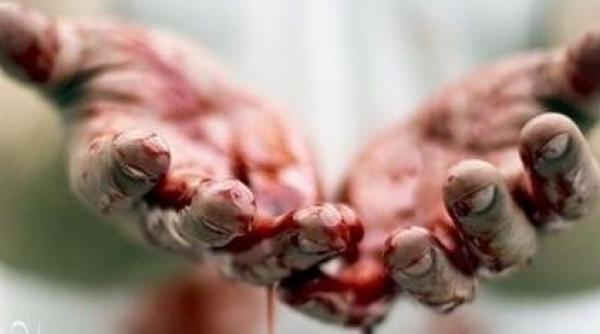 crima ingrozitoare i a ucis soacra i i a decapitat cainele