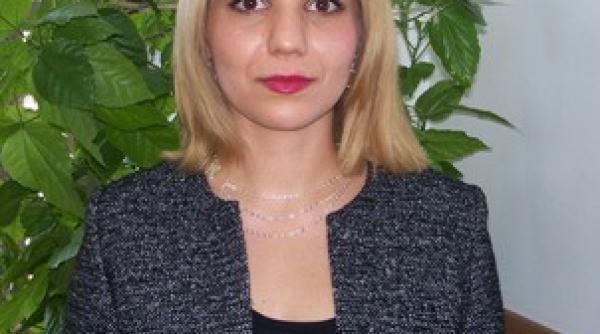 judecatoarea camelia bogdan a scris un articol despre dosarul voiculescu