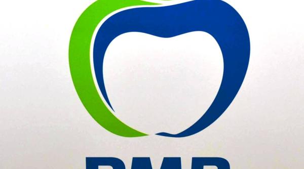 elena udrea klaus iohannis pmp da o lovitura grea pnl filiala pnl mehedin i trece in pmp