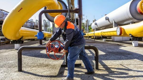 nicolescu o criza a gazelor nu este exclusa