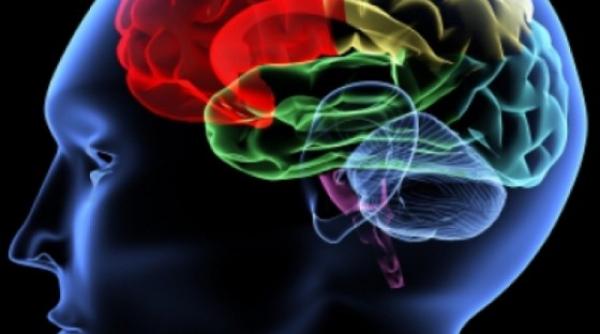 parin i de succes despre inteligen a emo ionala