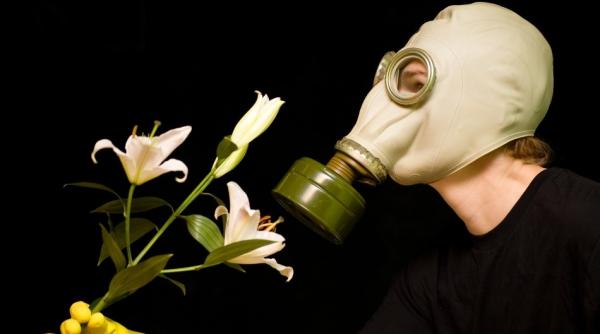 alergii factori care le favorizeaza