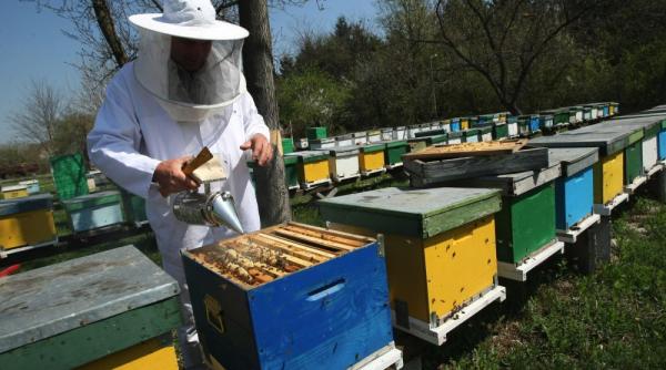 ajutoare de minimis in agricultura ecologica i apicultura