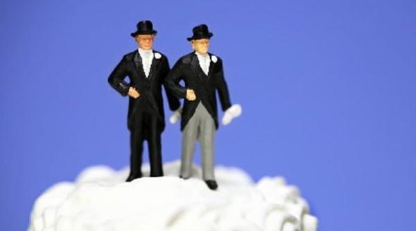 ponta despre casatoriile intre homosexuali