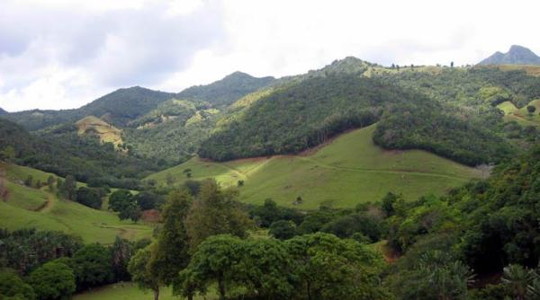 padurile din romania salvate de un sistem informatic de monitorizare