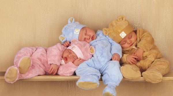 program erasmus 1 milion de copii nascu i in urma lui revolu ia sexuala