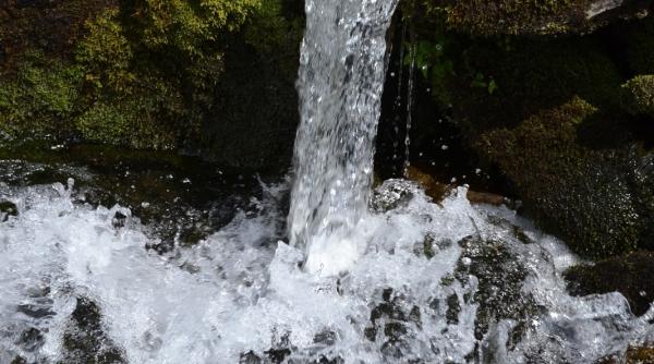 zona nemuririi din bucegi