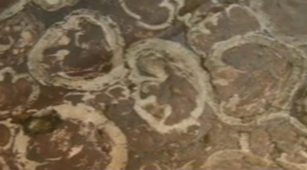 muzeu unic in europa in sta ia de metrou politehnica