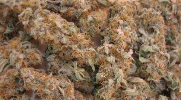 un nou drog pe pia a din romania unde au fost descoperite coletele