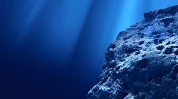 descoperire in adancuri terra de acum 85 de milioane de ani