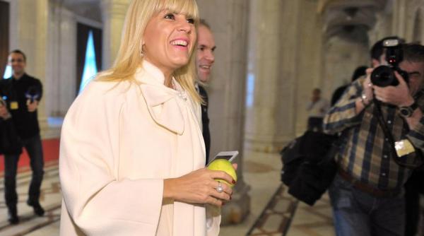 acuzatii grave elena udrea guvernul deturneaza fonduri europene