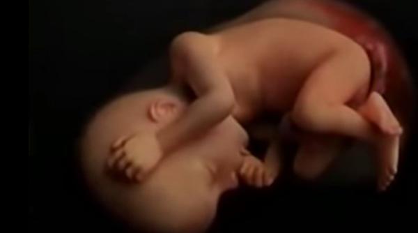 clip fascinant marturie a faptului ca via a este un adevarat miracol