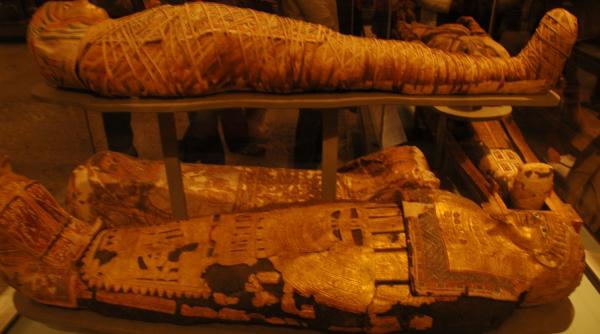 descoperire in craniul unei mumii detaliile sunt de a dreptul incredibile