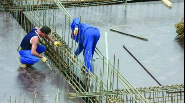 ana birchall romanii din diaspora o prioritate pentru guvernul victor ponta