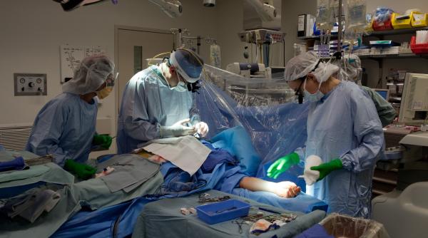 o romanca limiteaza tratamentele in strainatate in statele ue