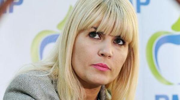elena udrea  privatizarile eprc c8prc 99uate ar trebui renaprc c8prc 9bionalizate