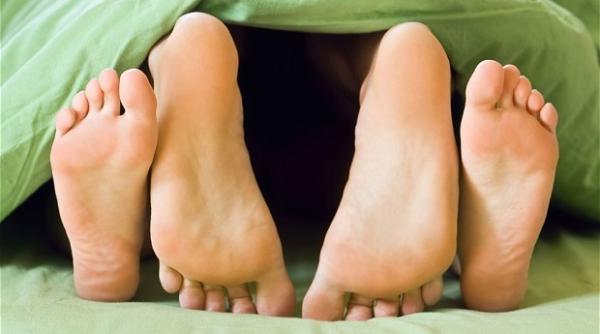 studiu creierul barba ilor setat sa ignore foamea in favoarea sexului