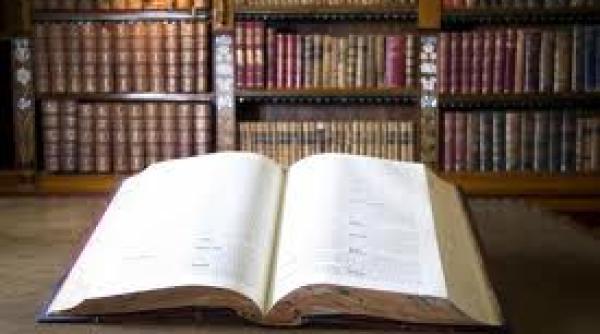 manuscrisul voynich cartea ce nu poate fi citita