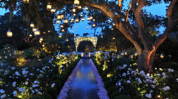 opt idei inedite pentru o nunta perfecta