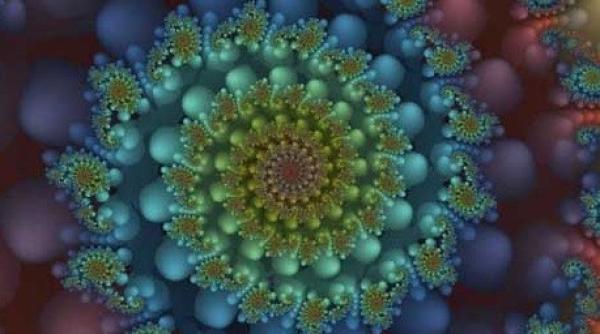 ciuperci halucinogene  creier prc e2prc 80prc 9dhiperconectatprc e2prc 80prc 9d  folosire in tratarea depresiei