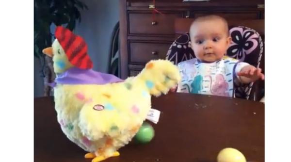 video gainusa de paste  reactie adorabila a unei fetite