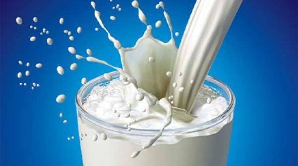 dieta bogata in lapte nu scade riscul de a suferi fracturi  din contra