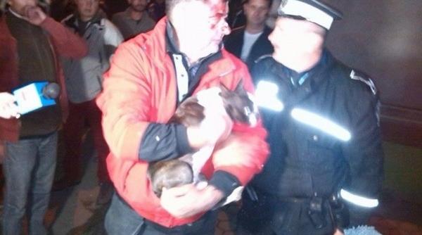 mircia muntean alcoolemie de 1 00 la mie cand a produs accidentul