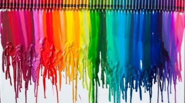 provident i coala de valori anun a ca tigatorii programului bursele start