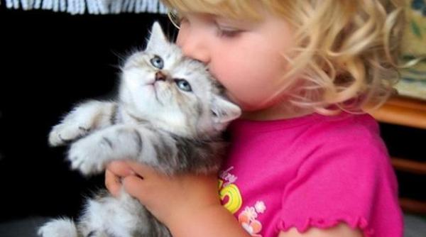 pisici i copii momente emo ionante surprinse in fotografii