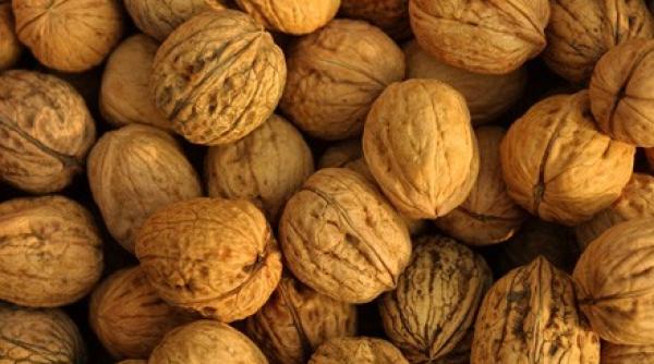 studiu consumul regulat de nuci poate preveni cancerul la san