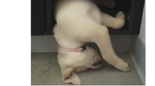 video caprc c8prc 9bei care dorm in cele mai neobiprc c8prc 99nuite poziprc c8prc 9bii