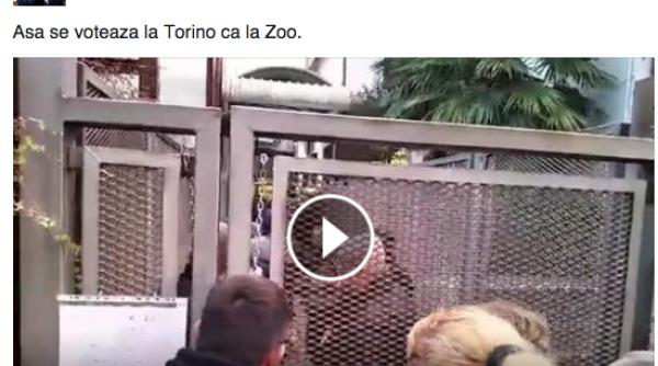 alegeri preziden iale turul ii diaspora in torino oamenii sus in ca sunt inu i ca la zoo