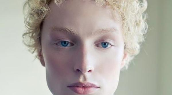 feminizarea barba ilor care sunt motivele i cum se manifesta efectele