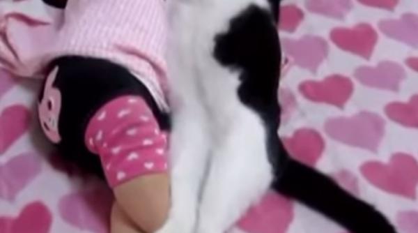 video caprc c8prc 9bei prc c8prc 99i pisici care dorm cu bebeluprc c8prc 99i