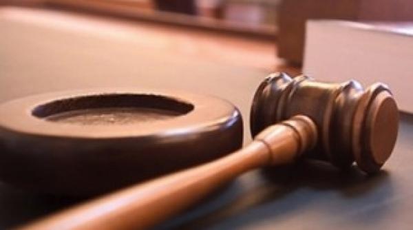 dosarul bica crinuta dumitrean arestata preventiv oana vasilescu cercetata sub control judiciar