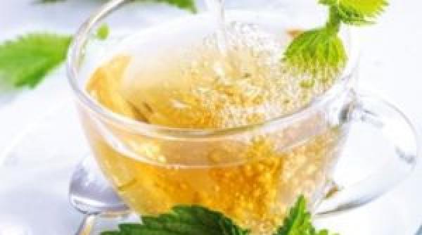 beneficiile ceaiului de urzica  supranumit prc e2prc 80prc 9cfocul vindecatorprc e2prc 80prc 9d