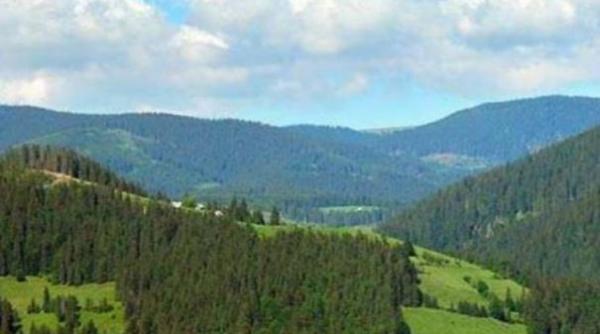 lovitura pentru biserica ortodoxa arhiepiscopia sucevei si radautilor a ramas fara 166 000 hectare de padure