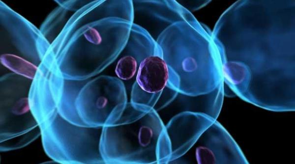 nou tratament anticancer testat cu succes