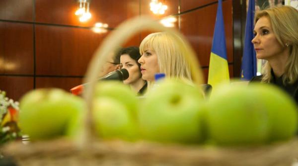 ziua na ionala a romaniei elena udrea mesaj de 1 decembrie