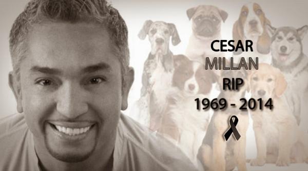 cesar millan dog whisperer a murit dupa un atac de cord tire falsa lansata de o publica ie din spania