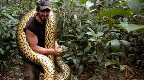 barbat inghitit de viu de un sarpe anaconda ce marturisiri face