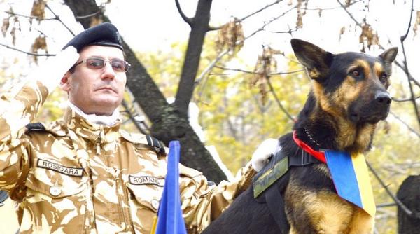 semneaza i tu peti ia lui adrian ursu pentru max cainele erou al armatei romane lasat sa moara